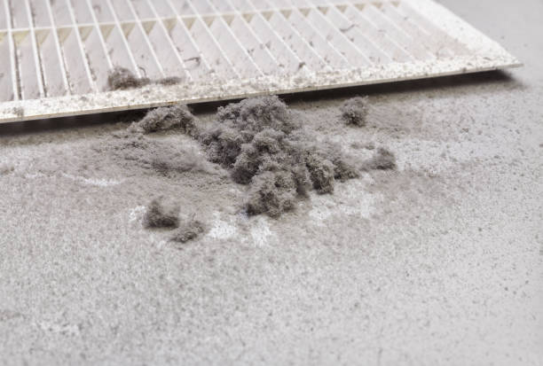 Air Duct Mold Removal in Logan, WV